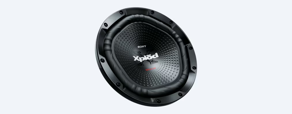 SONY XS-NW1200 12" Subwoofer
